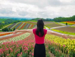 4 Day Hokkaido Sapporo-Furano Area Pass